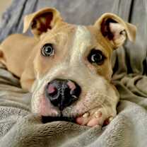 Thumbnail photo of Barry #1