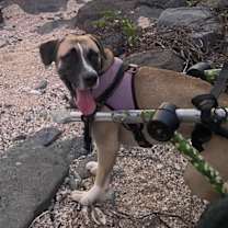 Thumbnail photo of Camilo (CP) #2