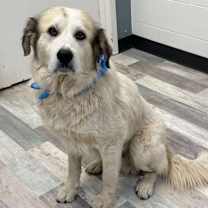 Thumbnail photo of Wally JuM #3