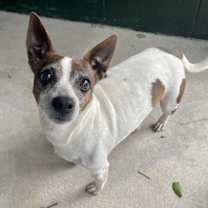 Thumbnail photo of Rugrat #1