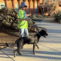 Thumbnail photo of Andor #2