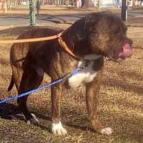 Thumbnail photo of Billy #3