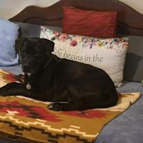 Thumbnail photo of Stan #2