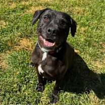 Thumbnail photo of Stan #3