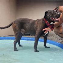 Thumbnail photo of Stan #4