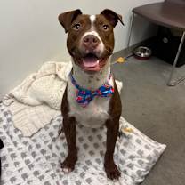 Thumbnail photo of Jeffifer #1