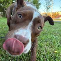 Thumbnail photo of Jeffifer #3