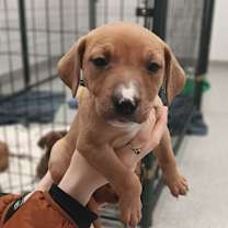 Thumbnail photo of Mariposa #3