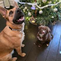 Thumbnail photo of Dakota #4