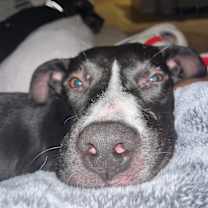 Thumbnail photo of Max #4