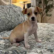 Thumbnail photo of Paul #2