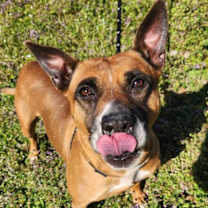 Thumbnail photo of Crystal #2