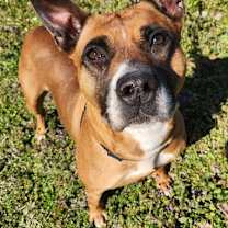 Thumbnail photo of Crystal #3