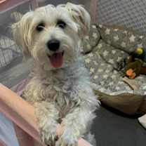 Thumbnail photo of Betty SSP #1