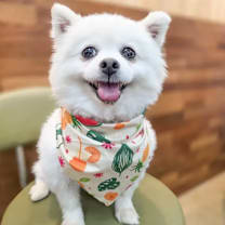 Thumbnail photo of Yeri #1