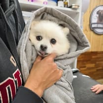 Thumbnail photo of Yeri #2