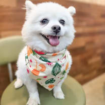 Thumbnail photo of Yeri #3