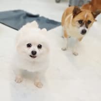 Thumbnail photo of Yeri #4