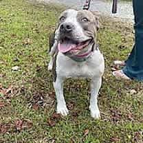 Thumbnail photo of Ducky #4