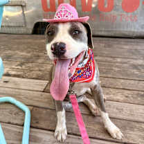 Thumbnail photo of Cocoa Puff #4