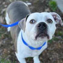 Thumbnail photo of Ella #3