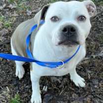 Thumbnail photo of Ella #1