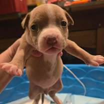 Thumbnail photo of Selma #1