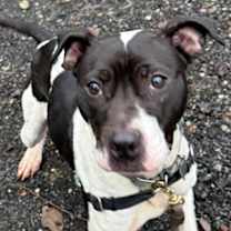 Thumbnail photo of Ellie #3