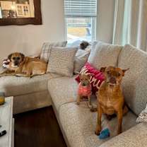 Thumbnail photo of Susan #1