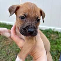 Thumbnail photo of Angel  #2