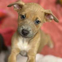 Thumbnail photo of Susan #2