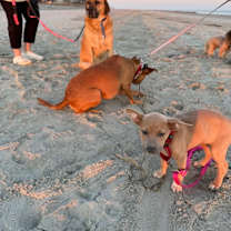 Thumbnail photo of Susan #3