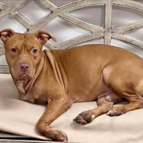 Thumbnail photo of Truett #1