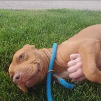 Thumbnail photo of Truett #2