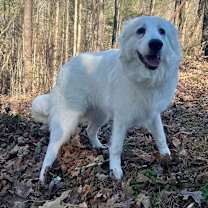 Thumbnail photo of Bianca #3