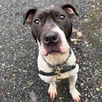 Thumbnail photo of Ellie #1