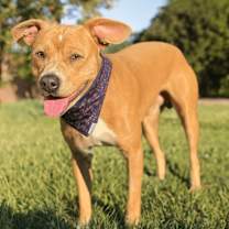 Thumbnail photo of Banks #4