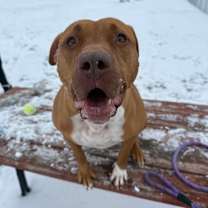 Thumbnail photo of Suzie #1