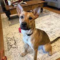 Thumbnail photo of Leala ~ meet me! #1