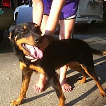 Thumbnail photo of Abigail #1