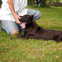 Thumbnail photo of Ranger Danger #1