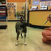 Thumbnail photo of Swiper #2