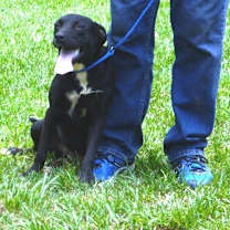 Thumbnail photo of Lil Girl #2
