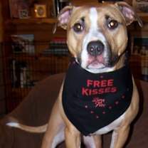 Thumbnail photo of Chyna #1
