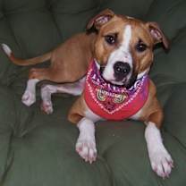 Thumbnail photo of Chyna #2