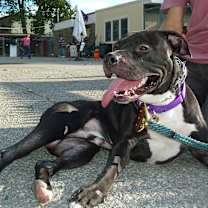 Thumbnail photo of Jax #2