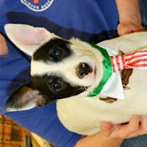 Thumbnail photo of Jeri #2