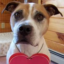 Thumbnail photo of Mabel - super friendly! #2