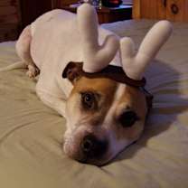 Thumbnail photo of Mabel - super friendly! #3