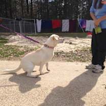 Thumbnail photo of Princess #3